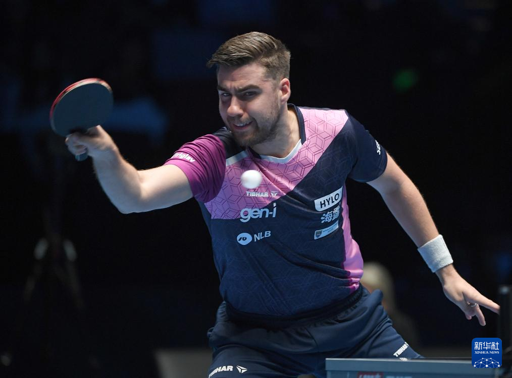 皇家社会在 皇家社会在