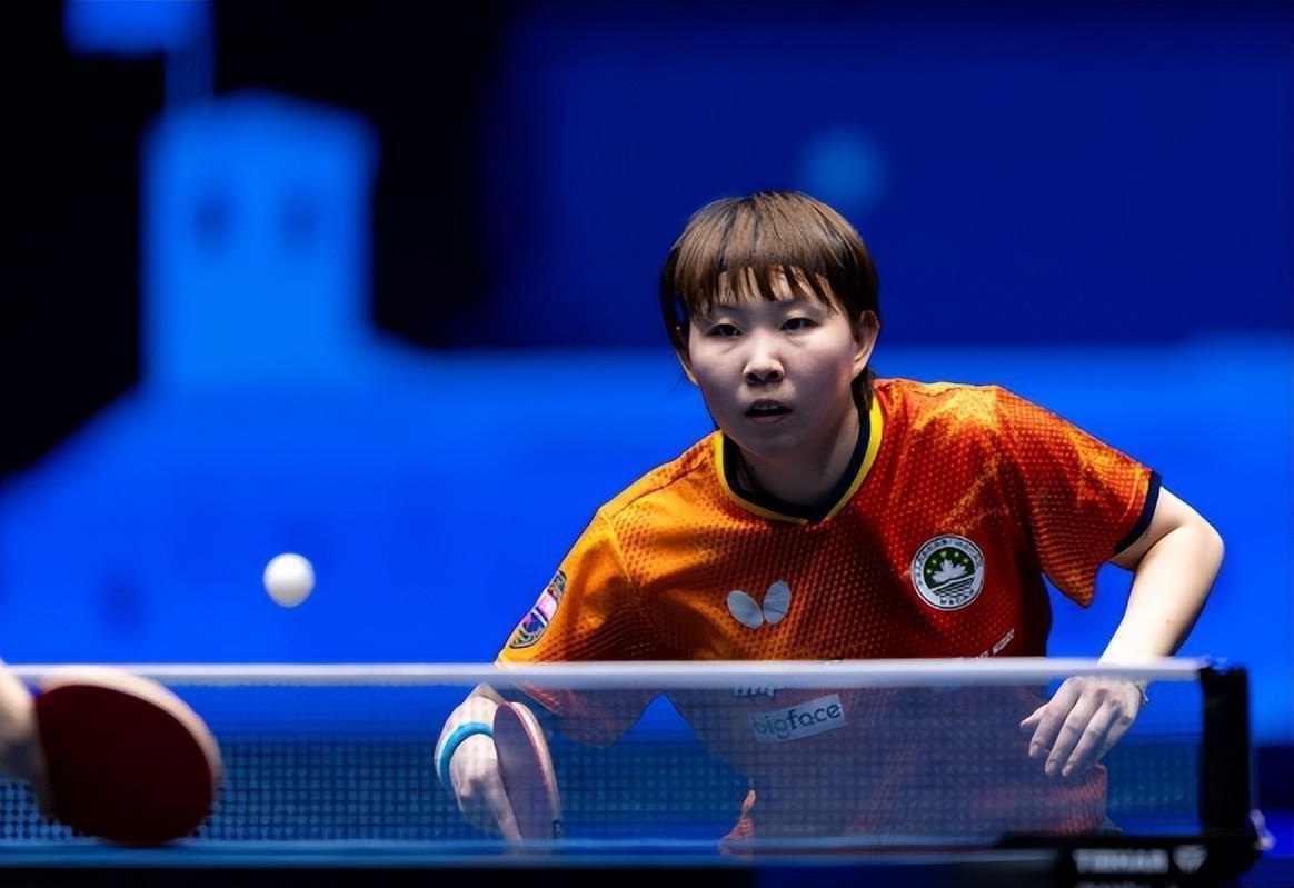 公安部在整 公安部在整