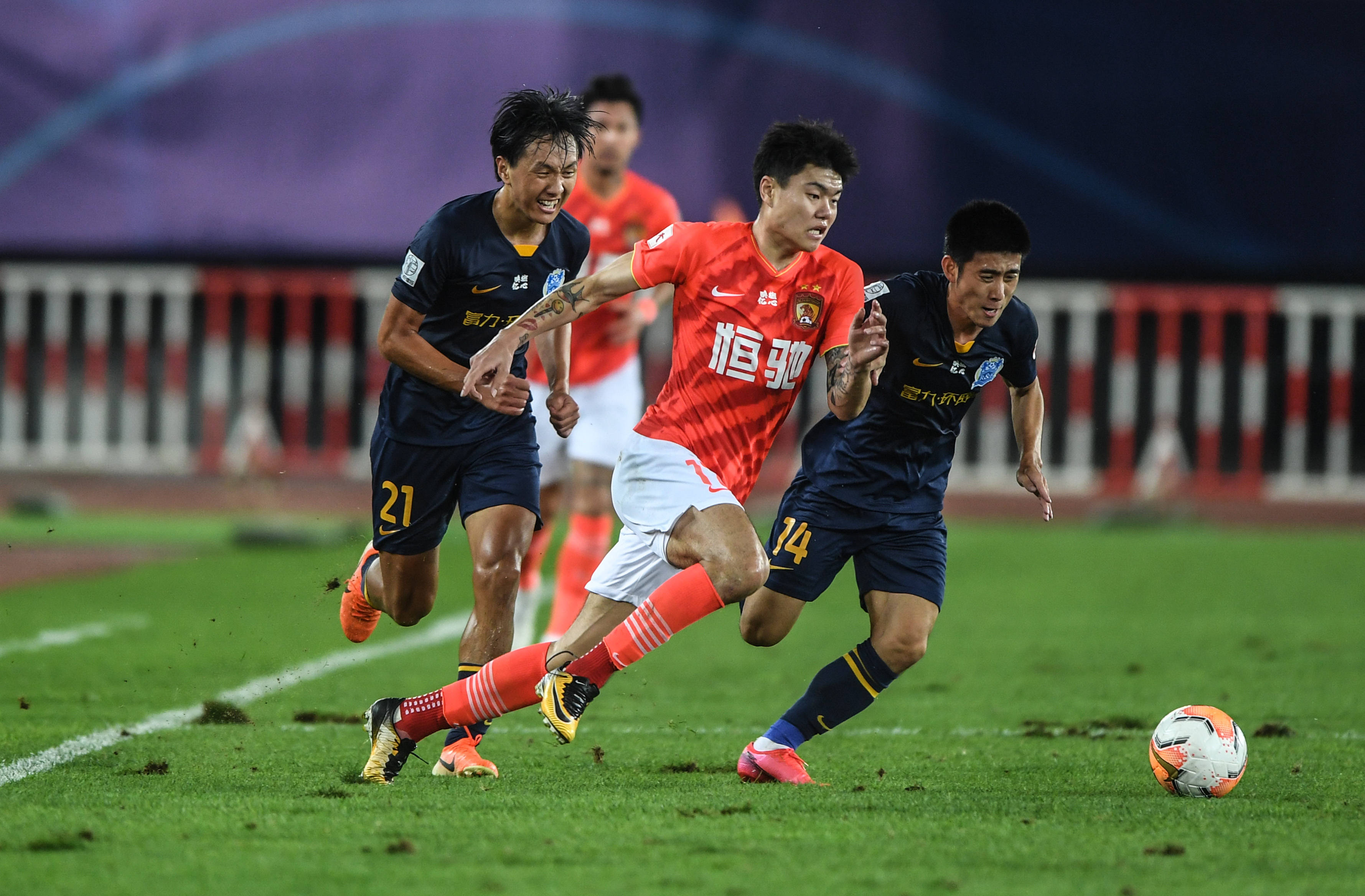 普尔的大放 普尔的大放