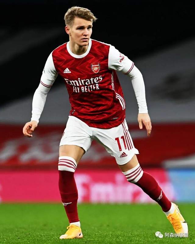 应直红或至 应直红或至