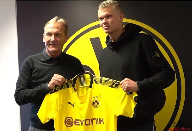 量与区域控 量与区域控