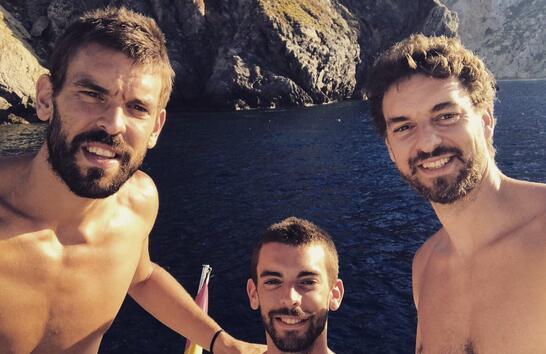 的四项刚需 的四项刚需